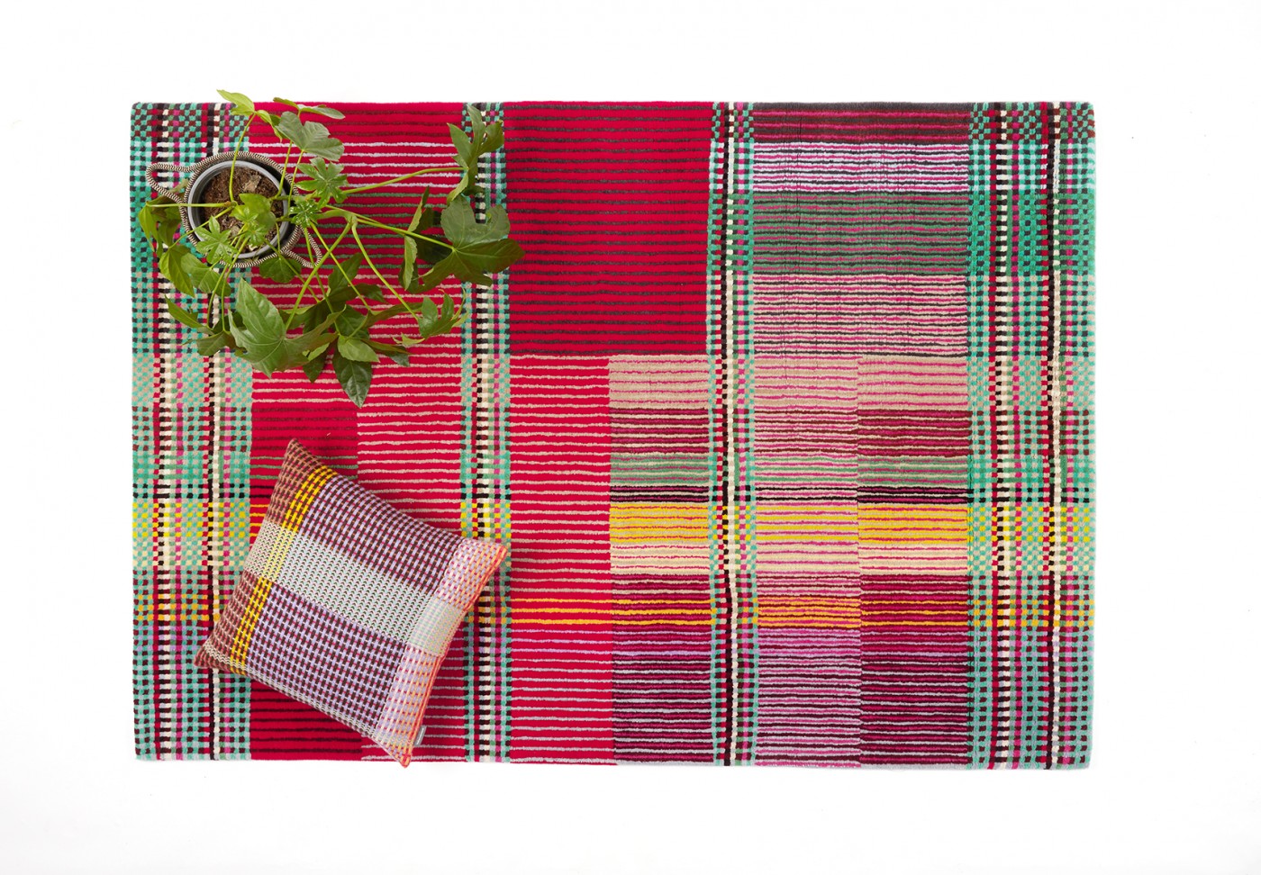 Exclusive Liselotte Rug only 5 available with 30% off!